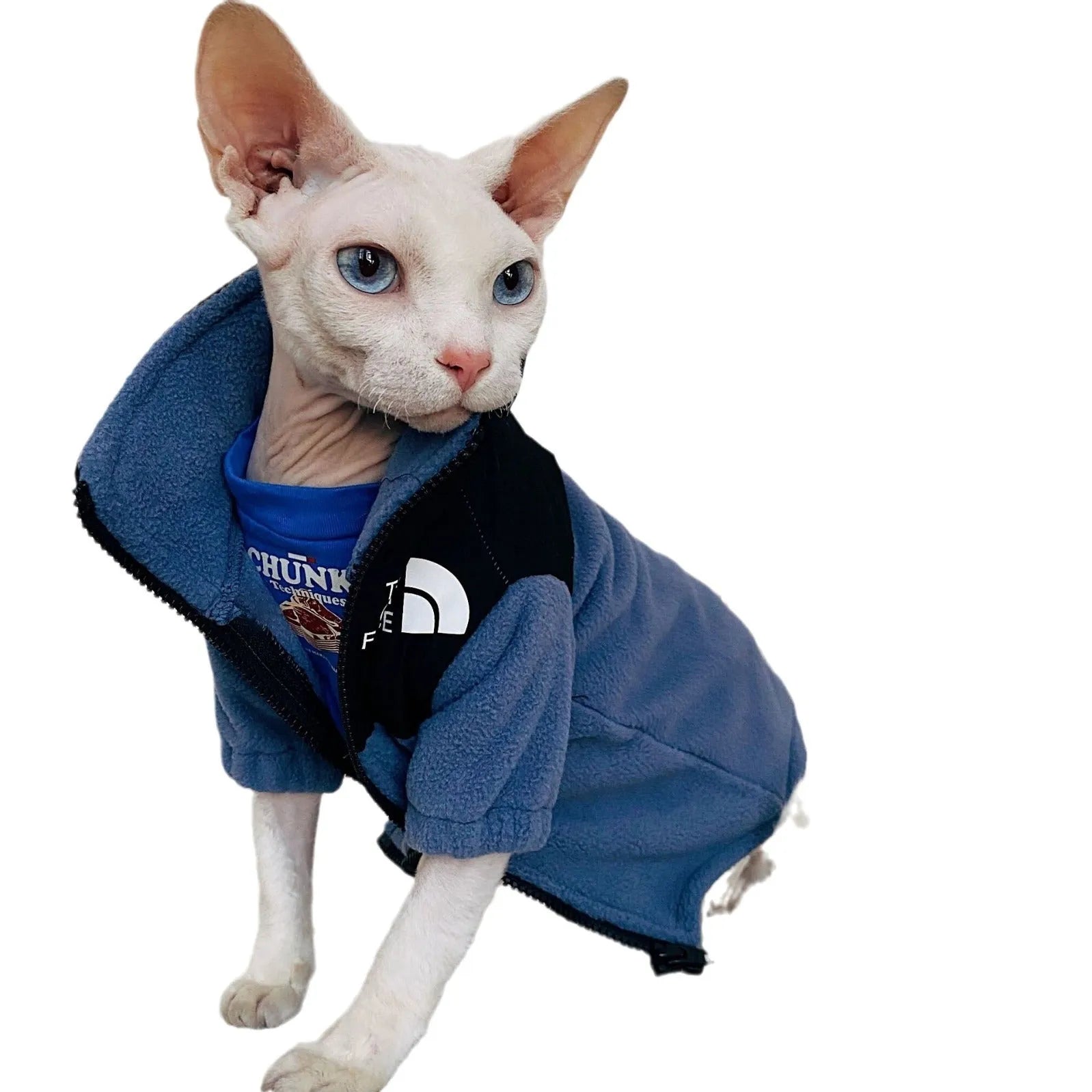 Hairless cat wearing a coral fleece jumpsuit in army green, side view on neutral background