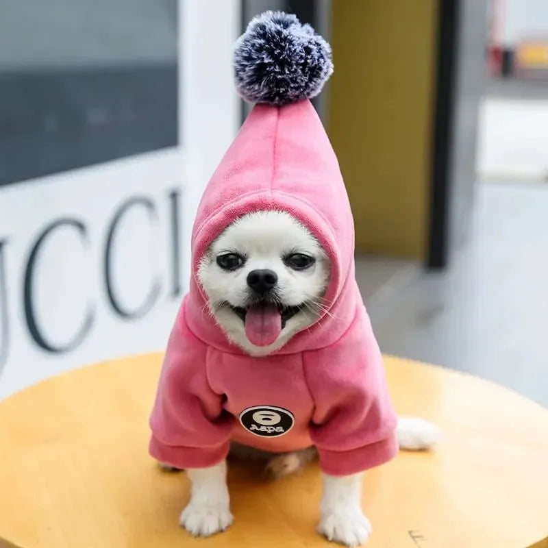 Blue fleece hooded coat for small dogs and cats winter warm outerwear