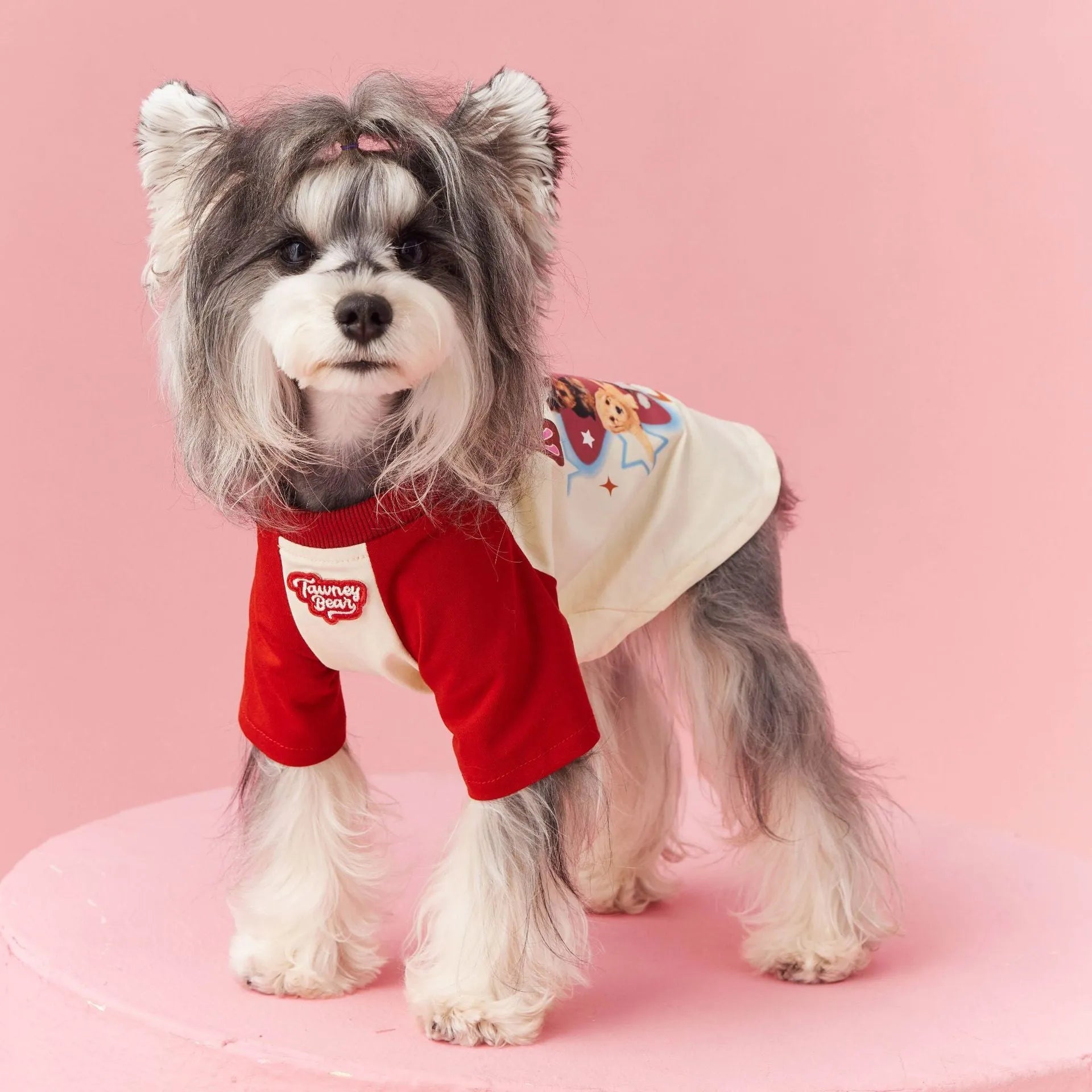 Cotton summer dog clothes in red or pink with contrast design, sizes XS to XXL