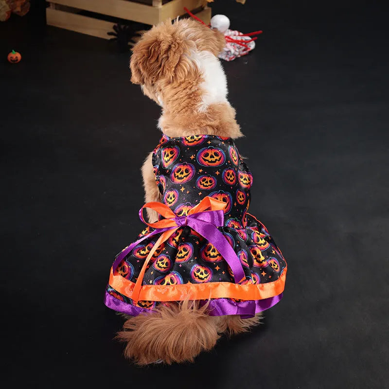 Halloween dog skirt with colourful pumpkin pattern, double-layer construction, shown on model dog.