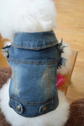 Denim dog vest with distressed retro scratch pattern design for small breed autumn winter wear