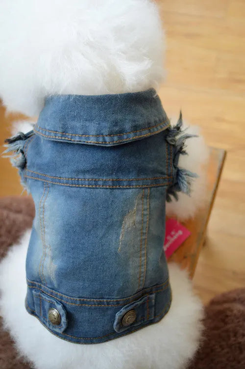 Denim dog vest with distressed retro scratch pattern design for small breed autumn winter wear