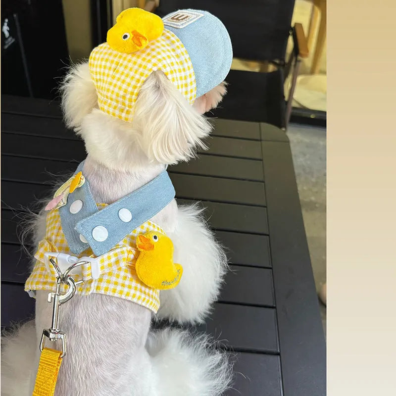 Three-piece pet set with a dog harness and leash, a wire rope pulling toy, and a cute hat on a cat or small dog.