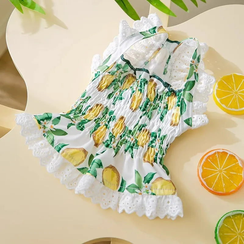 Thin breathable polyester strap dog skirt in Rock Yellow Lemon