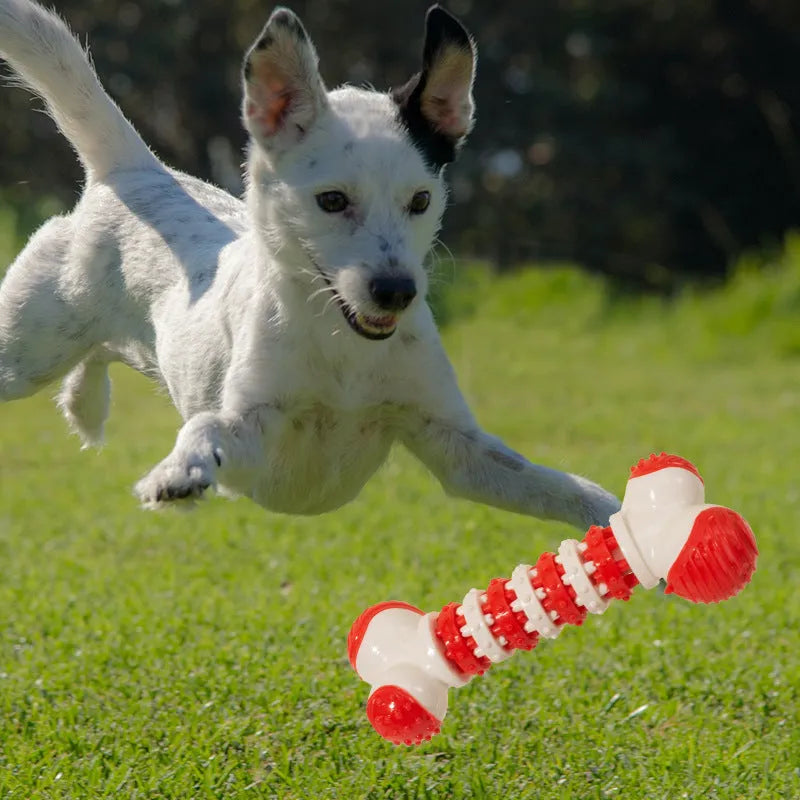 Blue bone-shaped interactive dog toy with treat holder for small breed puppies