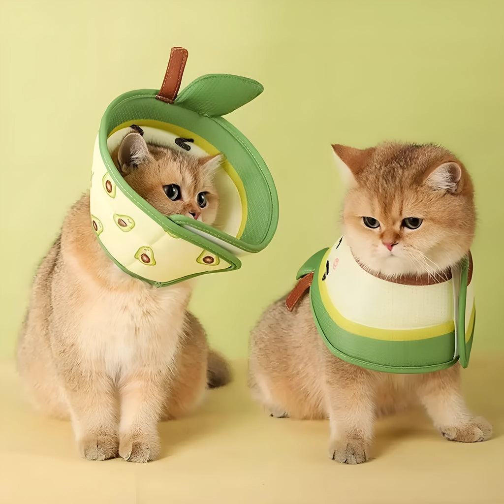 Soft grey EPE foam cat cone collar with adjustable white strap and folded edges
