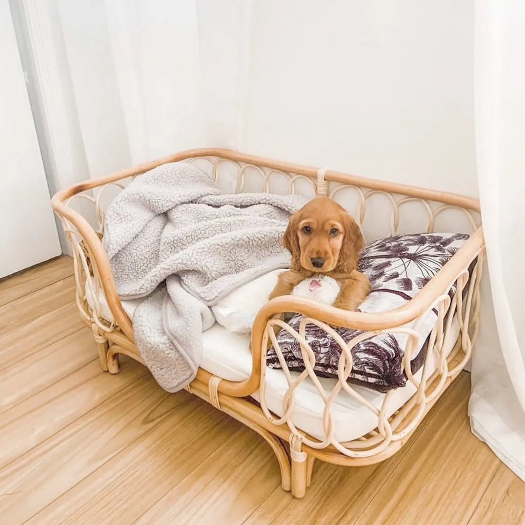 Handmade rattan woven pet bed for dogs and cats in natural brown colour