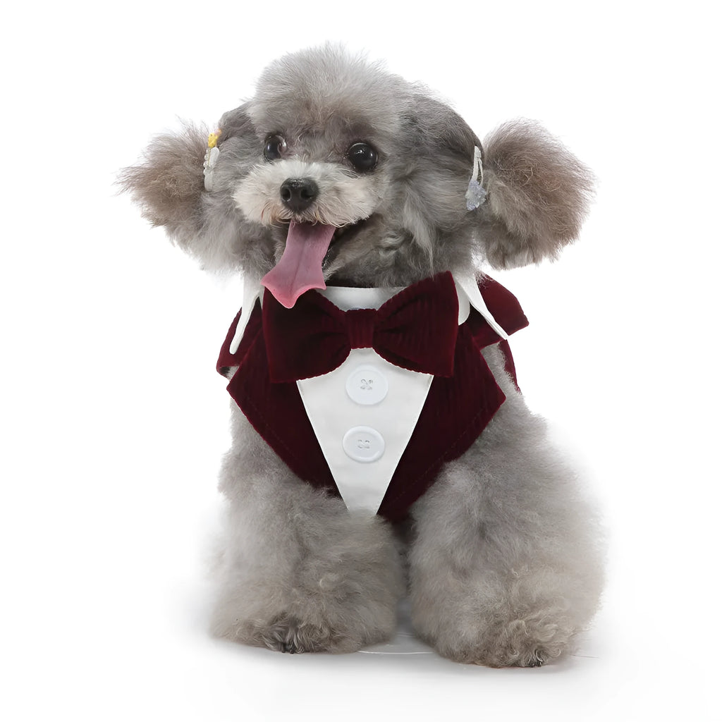 Dog wearing polyester tuxedo dress shirt in plain pattern, available in multiple sizes and colours