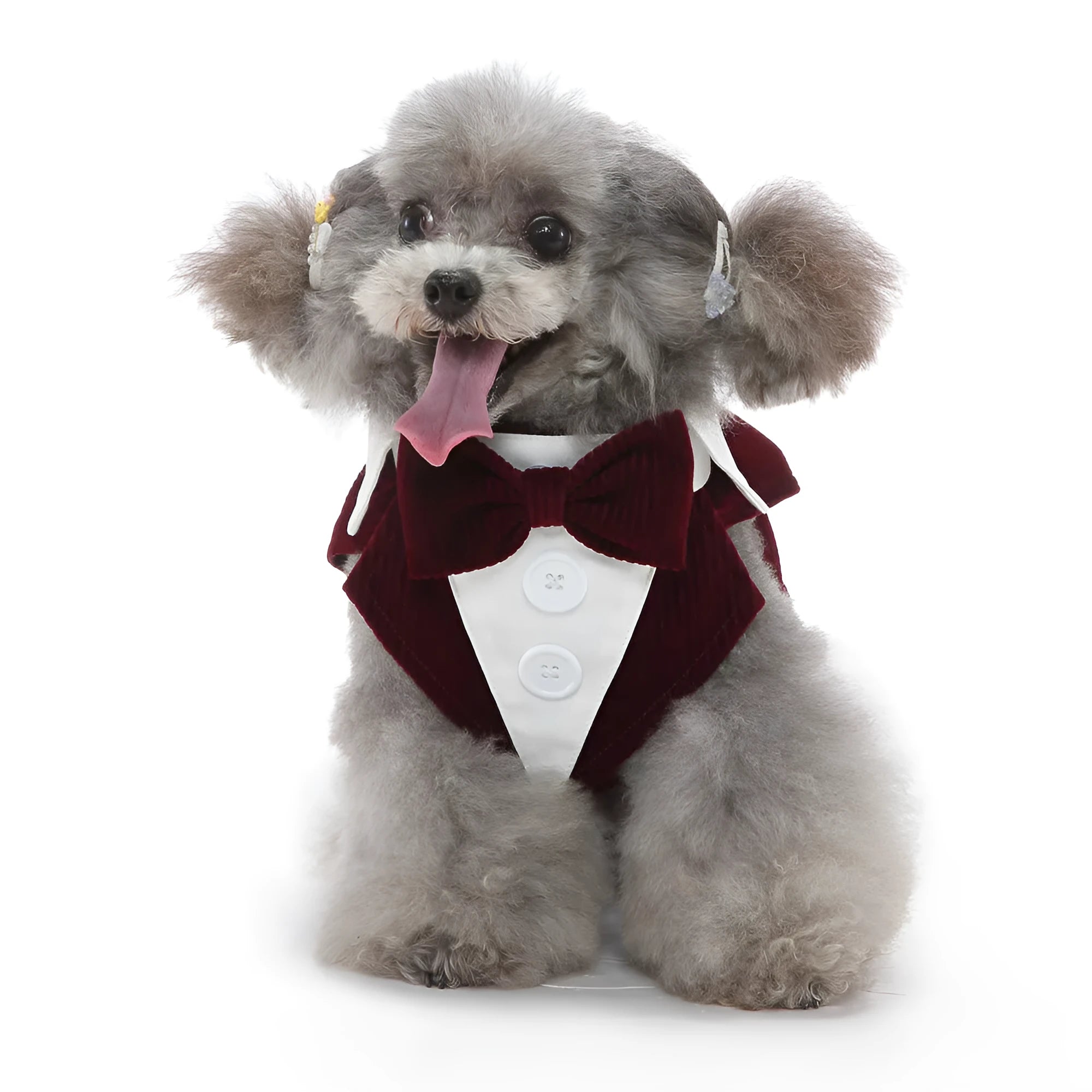 Dog wearing polyester tuxedo dress shirt in plain pattern, available in multiple sizes and colours