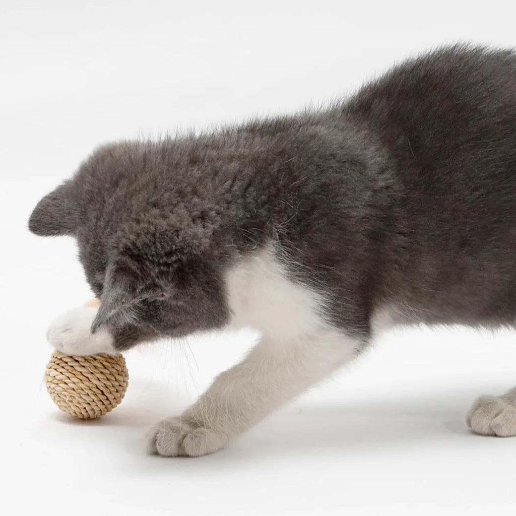 Two cat toys: hollow rattan ball and faux feather ball with bell attachment on neutral background