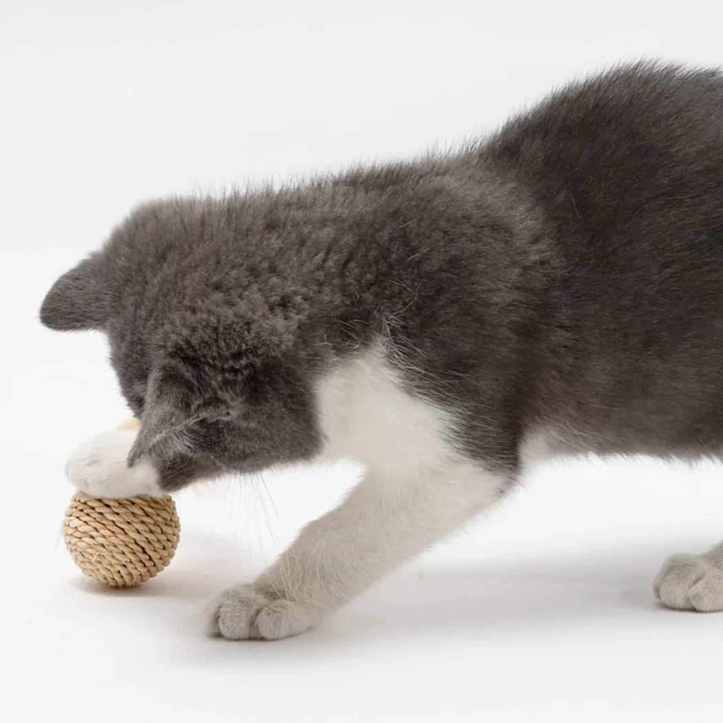 Two cat toys: hollow rattan ball and faux feather ball with bell attachment on neutral background