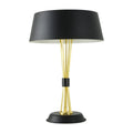 Iron creative European style table lamp, 35x66cm, black finish with LED light source on a desk