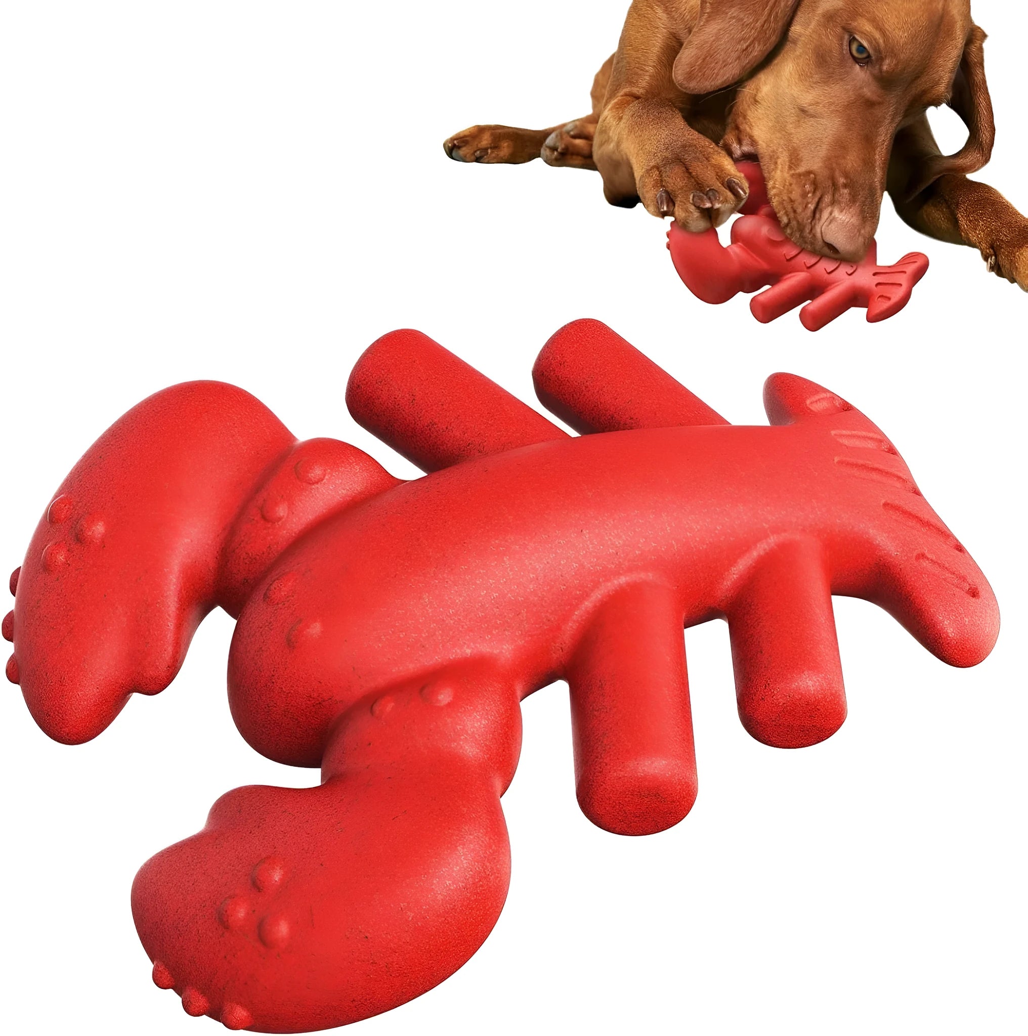 Red hard dog chew toy for aggressive chewers, shown next to a ruler indicating its 170mm length.
