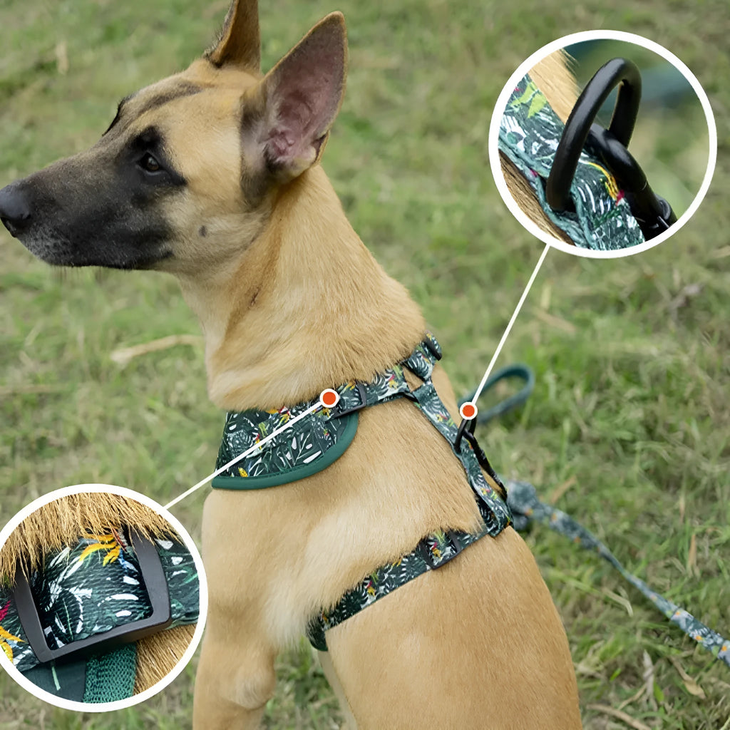 Adjustable cloth dog harness set with six accessories including vest, collar, leash, waste bag holder, bow tie, and scarf