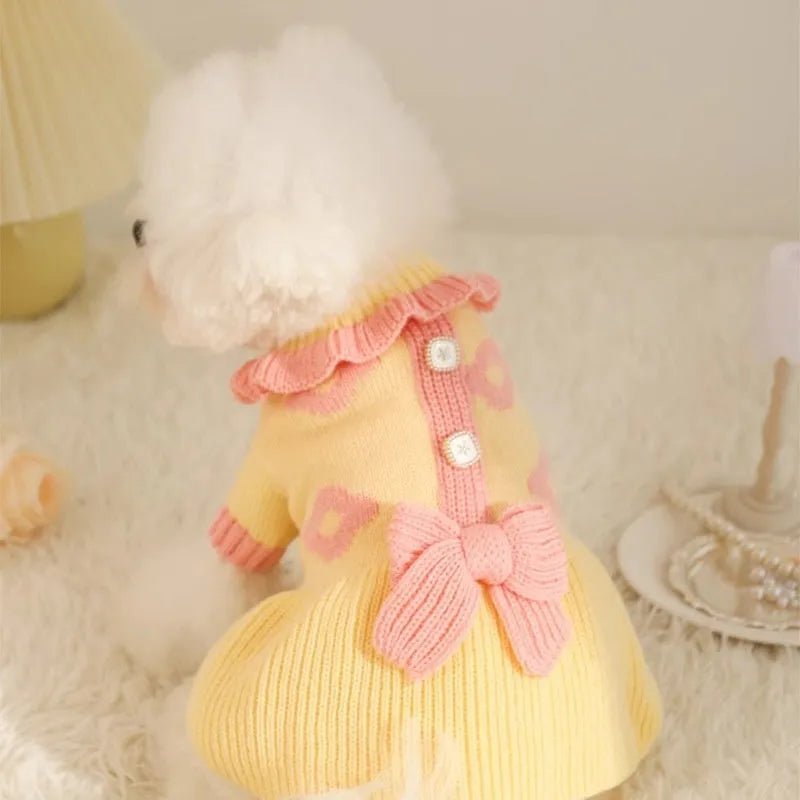 Autumn pet puppy sweater in acrylic knit, Fairy Dress style, on small dog