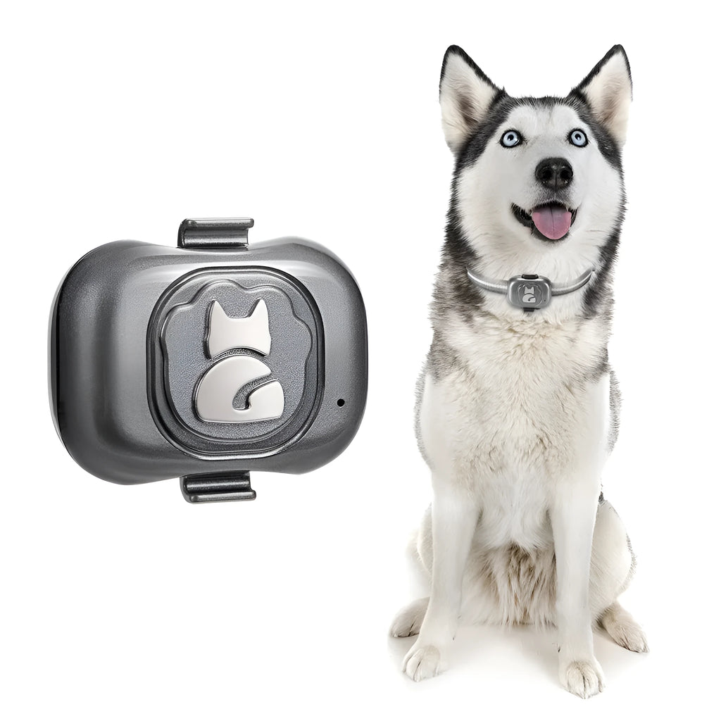 Black GPS pet locator tracker with hanging rope for attachment to pet collar