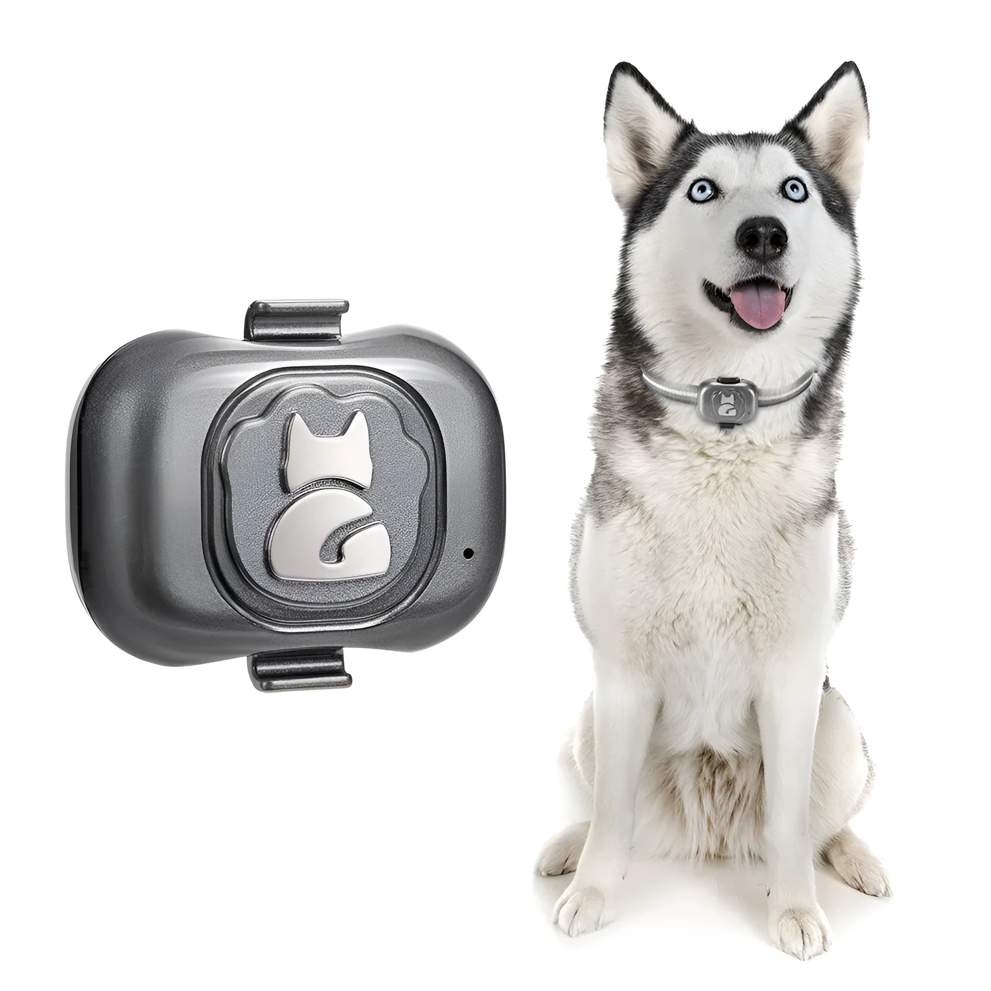 Black GPS pet locator tracker with hanging rope for attachment to pet collar