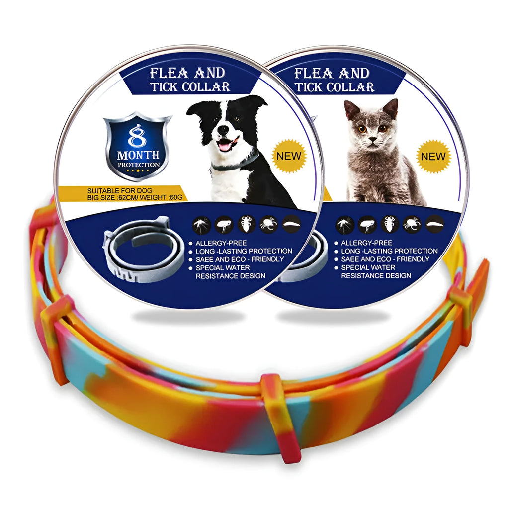 Rainbow plastic flea prevention collar for pets in cat and dog sizing options