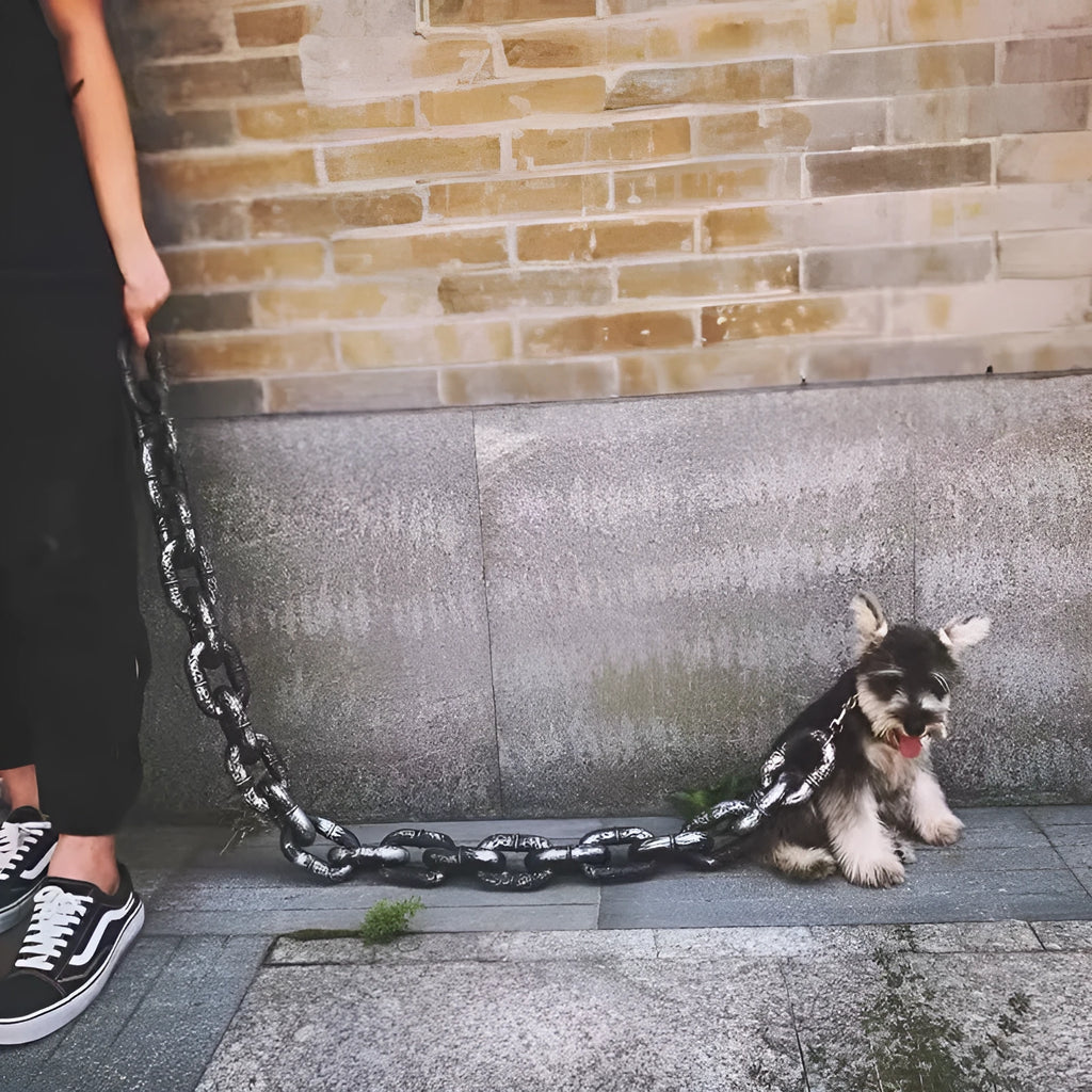 Simulation dog leash prop in metallic colours for video content creation