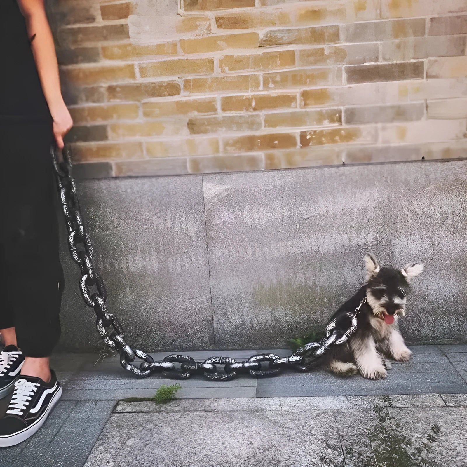 Simulation dog leash prop in metallic colours for video content creation