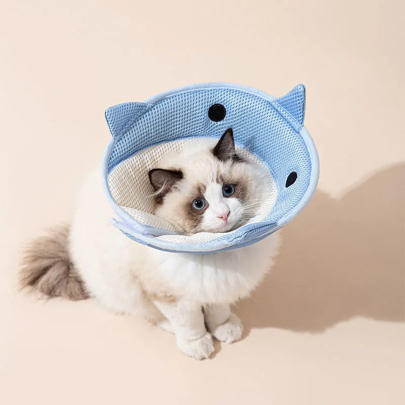 Soft cat recovery collar in shark shape made from nonwoven fabric, available in multiple sizes