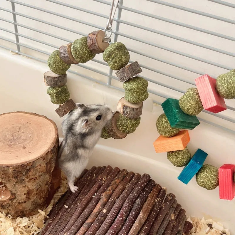 Hamster toy with applewood chew stick and colourful straw ball ring on a white background