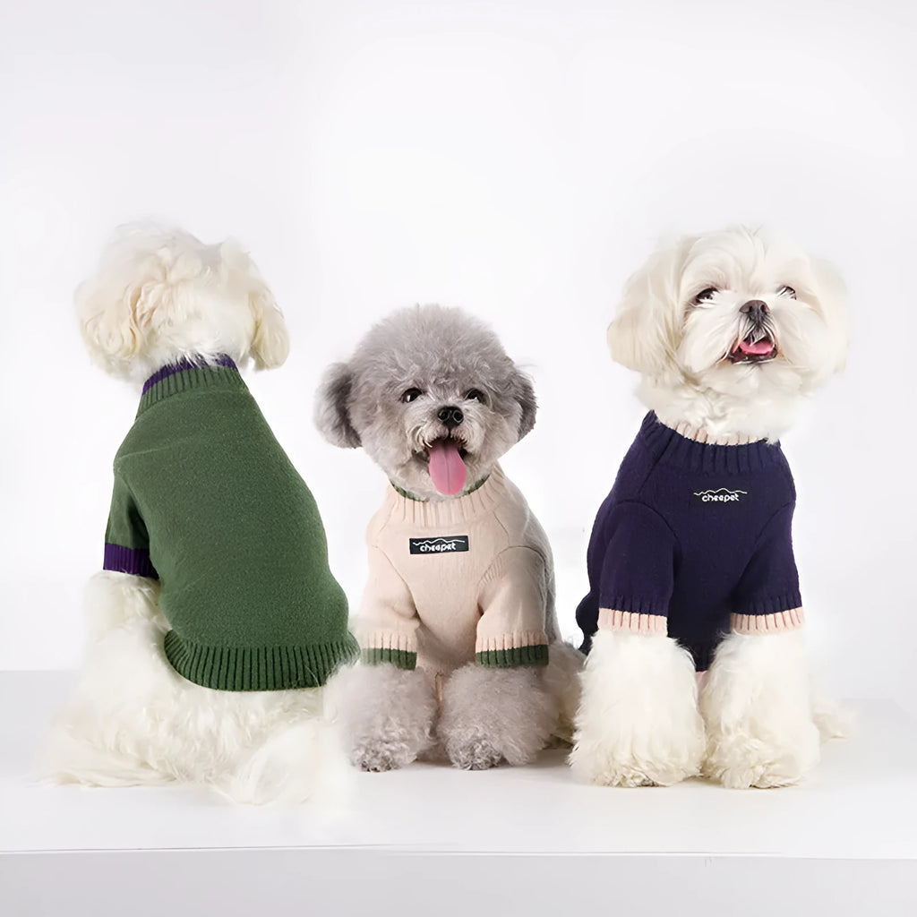 British-style two-legged wool pet sweater in Crown Blue on a dog model