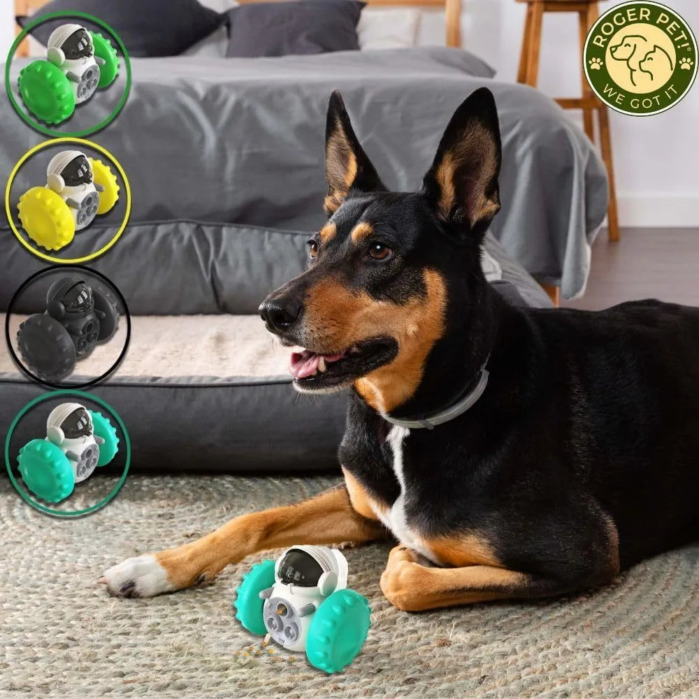 Dog treat dispenser tumbler toy in five colours for small dogs and cats