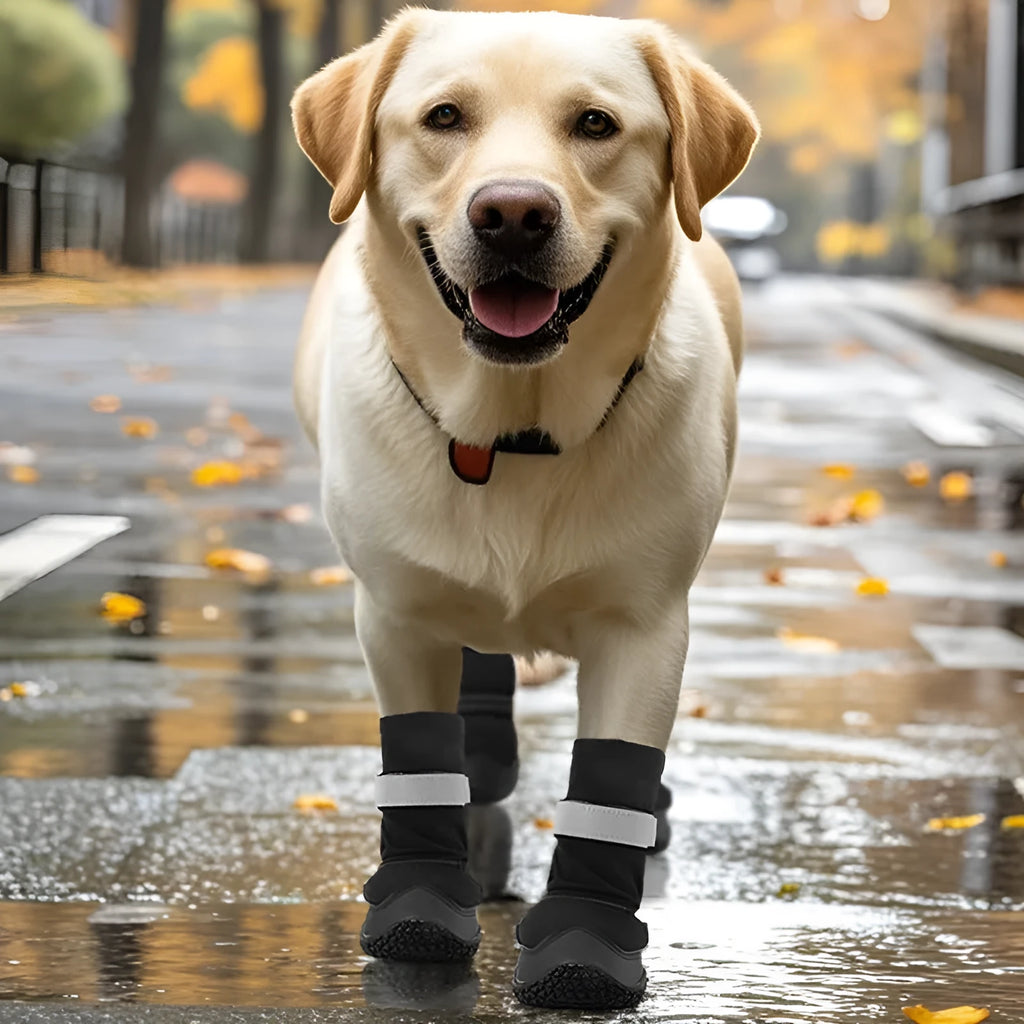 Extended medium large dog shoes with non-slip rubber sole in black waterproof style on a dog's paw