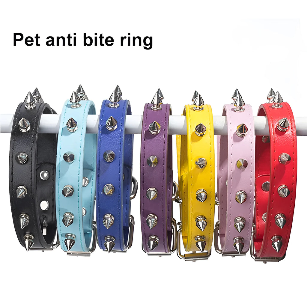 Colourful studded dog collar with metal spikes on a durable PU leather strap and alloy buckle