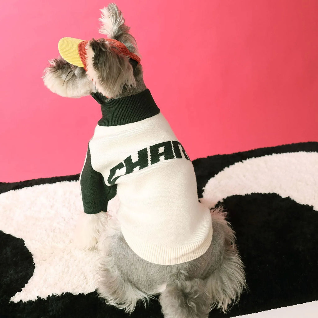 Wool dog sweater cardigan in dark green, available in multiple sizes for casual pet wear