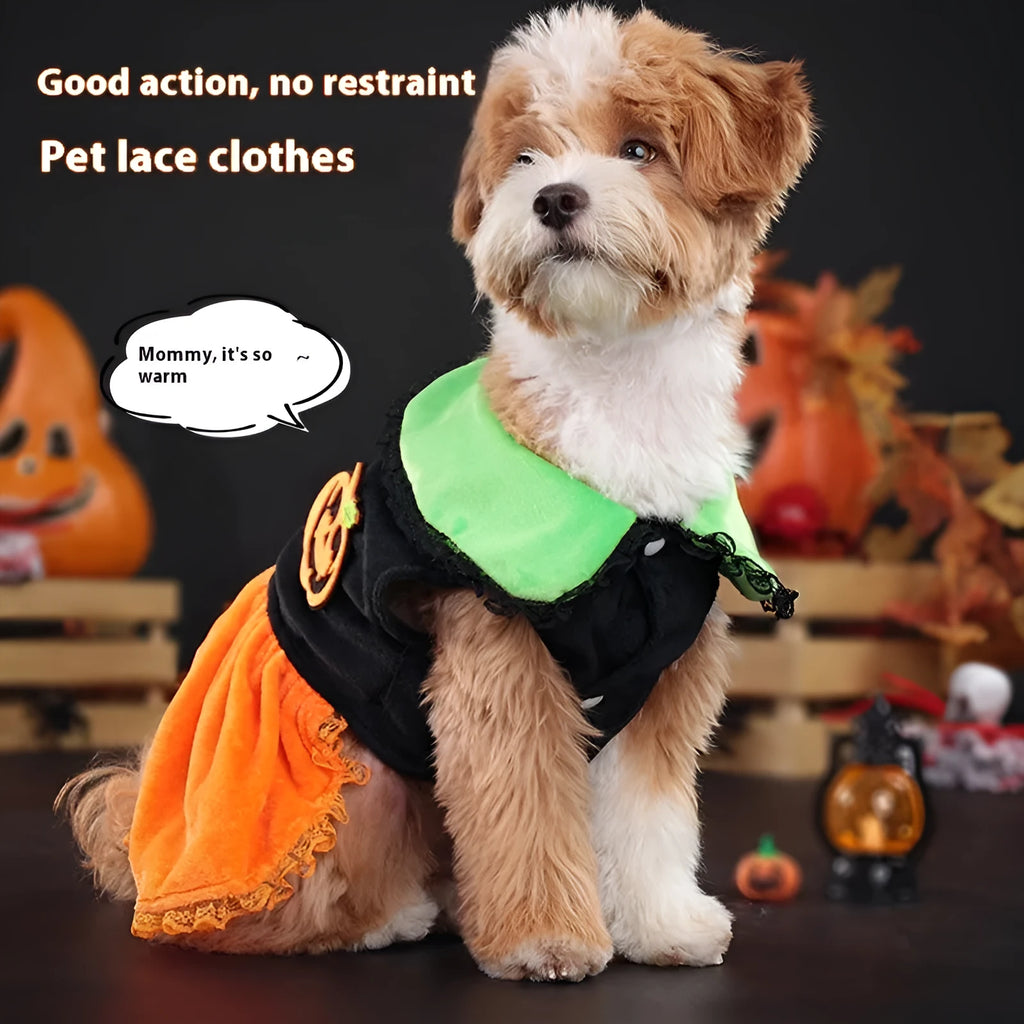 Orange Halloween pumpkin skirt pet costume for small dogs made from crystal velvet fabric