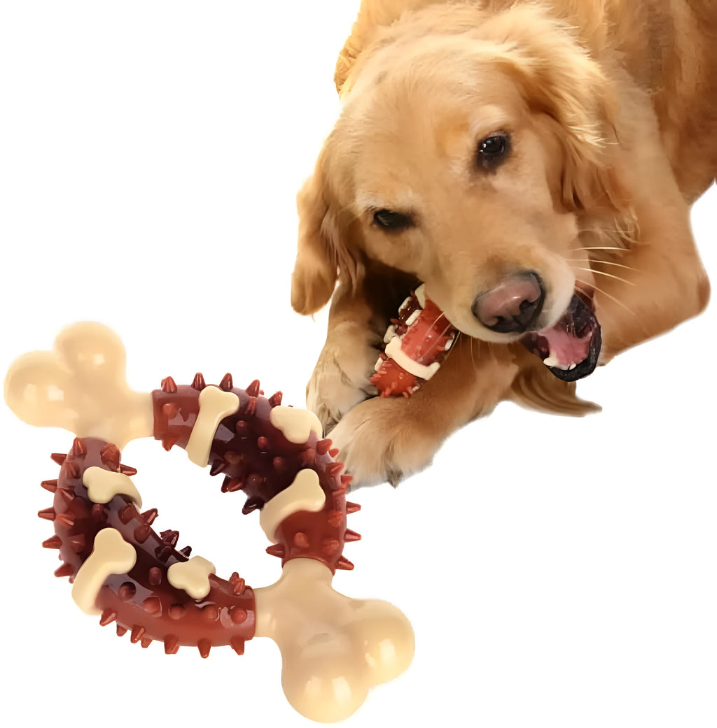 Bone-shaped natural rubber dog molar chew toy for teeth grinding