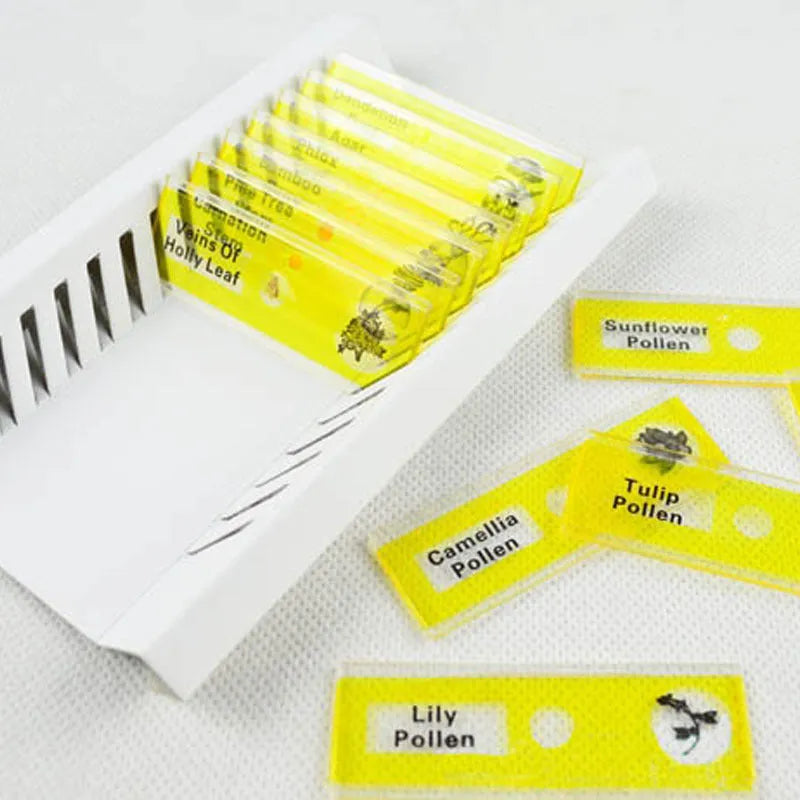48 plastic microscope slides in four colour-coded boxes showing plant rhizomes, roots, and animal specimens