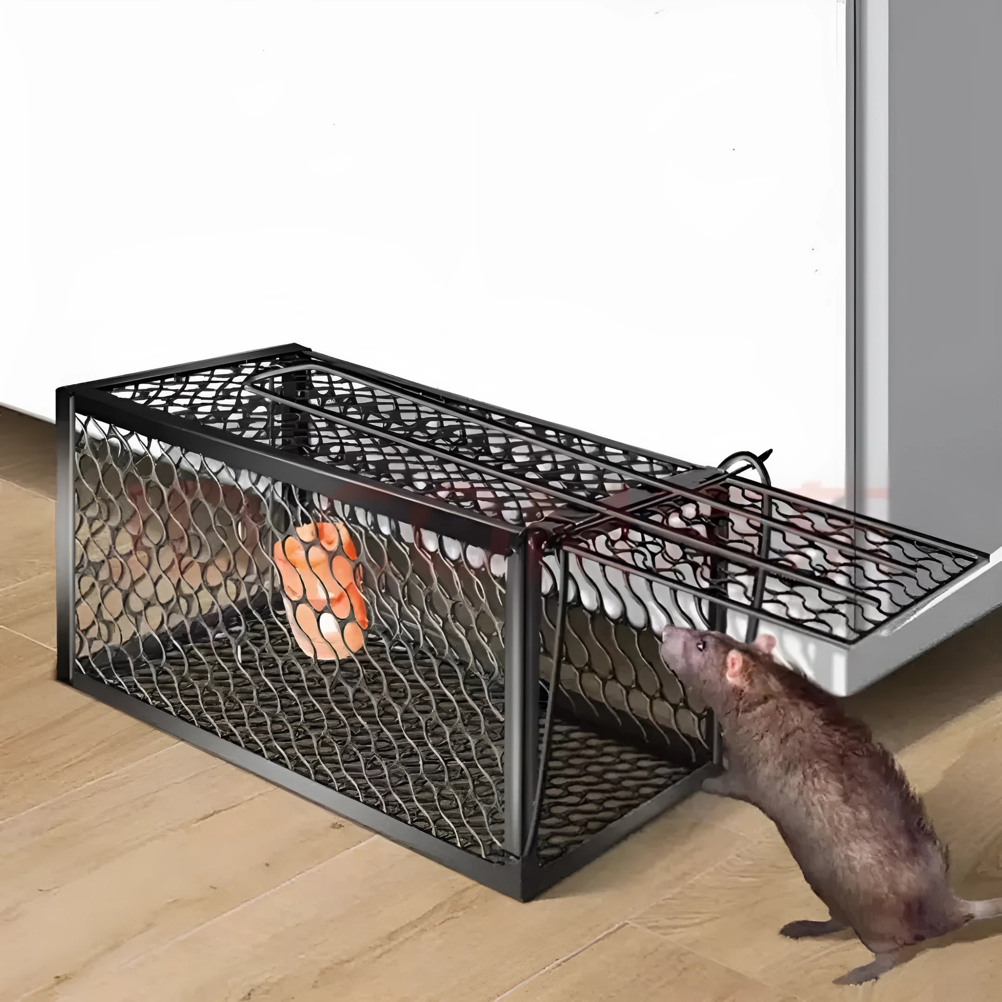 Automatic mouse cage trap showing metal and plastic construction with multiple size options
