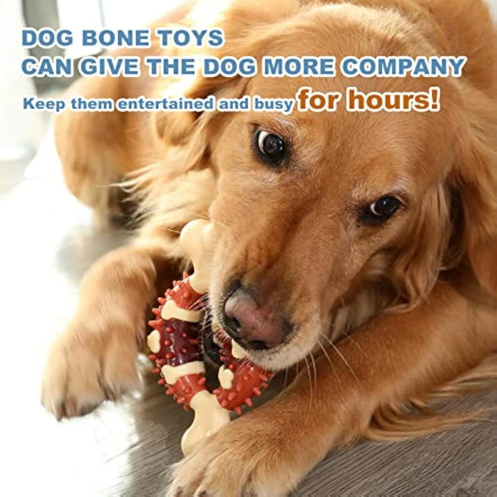 Bone-shaped natural rubber dog molar chew toy for teeth grinding
