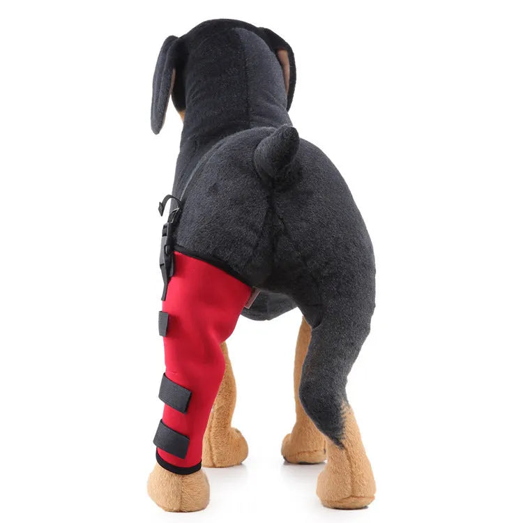 Pet leg rehabilitation foot support in black SBR material with adjustable wrap design