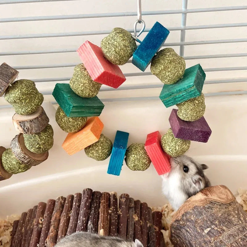 Hamster toy with applewood chew stick and colourful straw ball ring on a white background