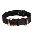 Genuine cowhide dog collar in black available in sizes S, M, L for medium and large dogs