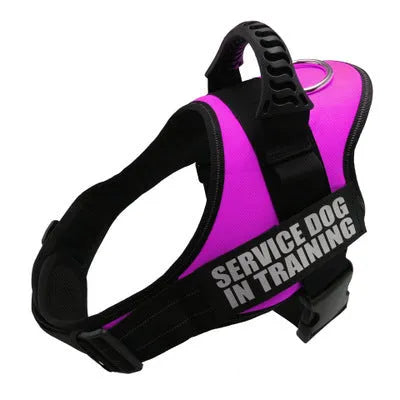 Reflective adjustable no-pull dog harness vest with sturdy handle shown on dog