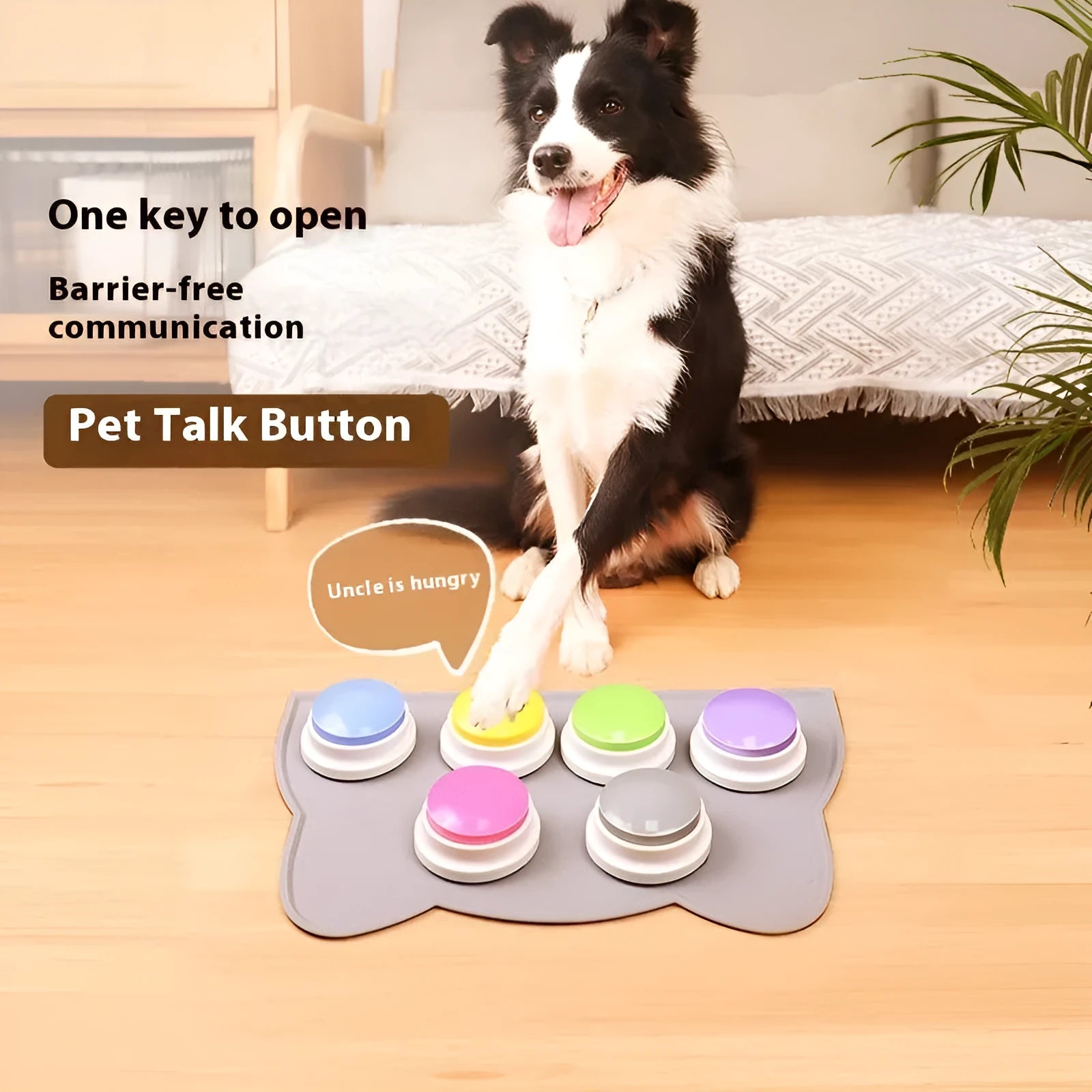 Plastic pet communication button dog voice toy in recording macaron purple on a flat surface