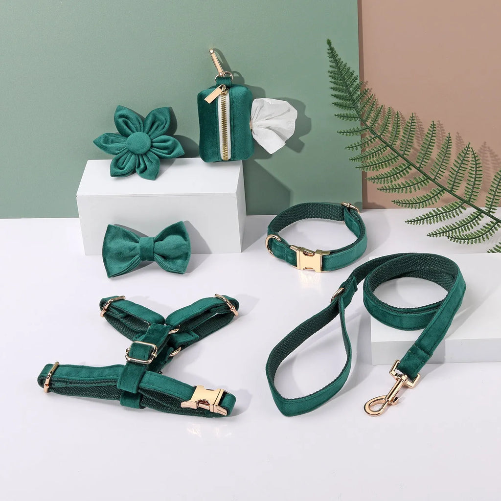 Velvet pet collar and traction rope set with chest strap and decorative bow tie accessories