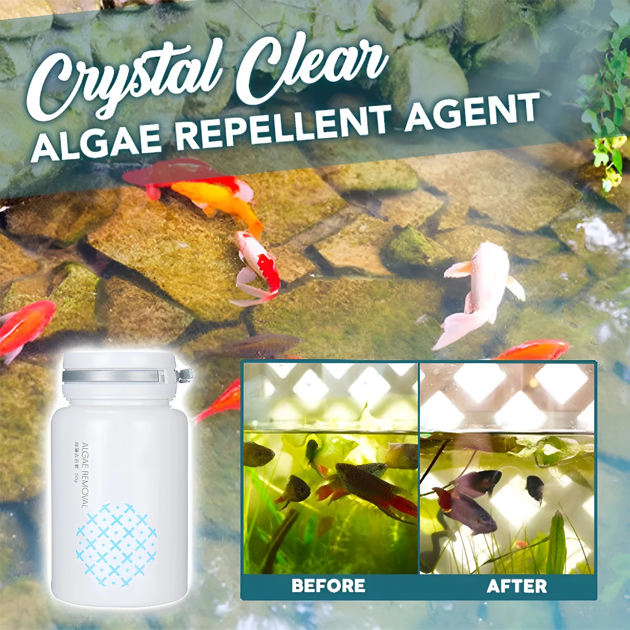 50g pool algaecide for swimming pool algae and moss removal treatment