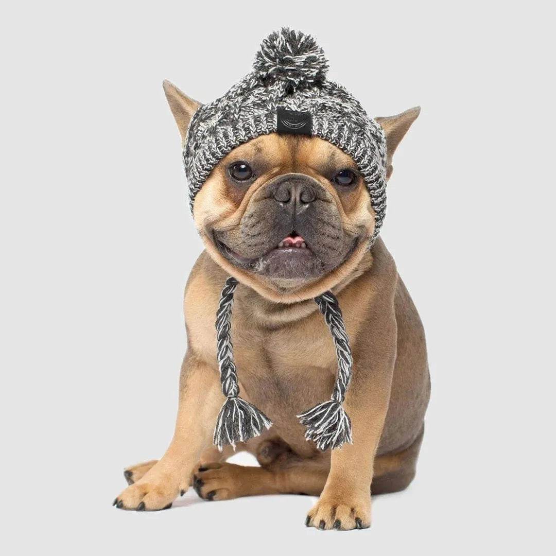 Grey winter fashion dog hat with fluffy polar pom, braided knit acrylic fabric, and ear slits on a dog