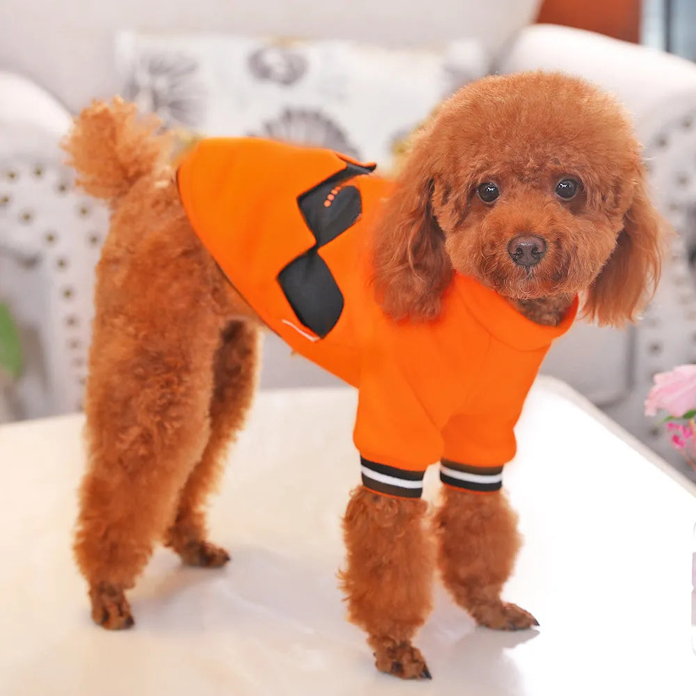Orange cloth Halloween pumpkin costume for dogs shown on a pet with collar and back measurements from XS to XXL