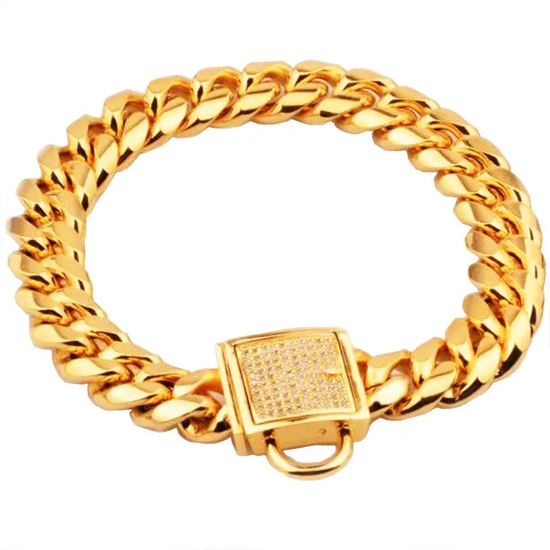 Gold titanium steel pet dog collar with encryption chain buckle lying on surface