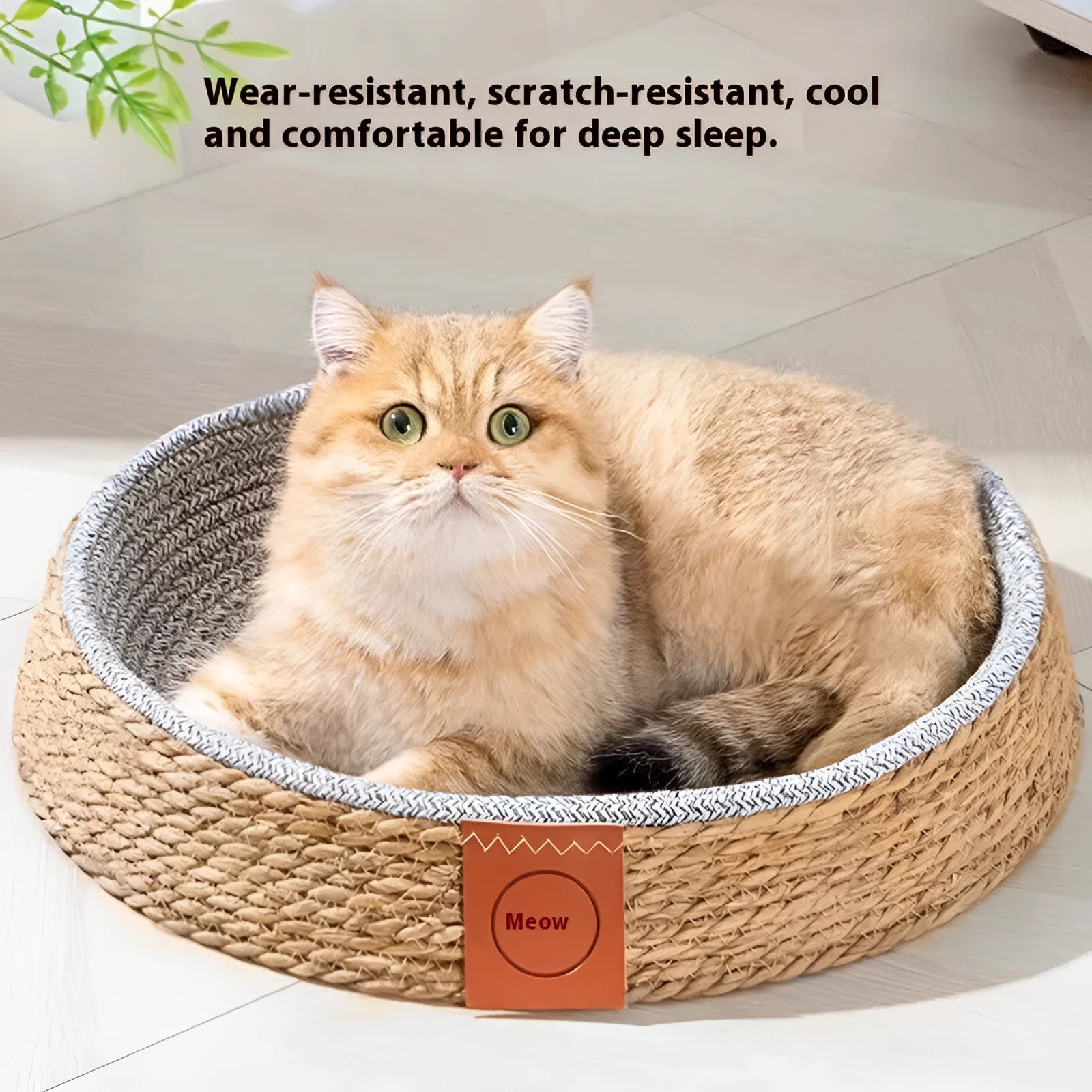 Natural rattan woven cat bed basket with raised edges available in four sizes