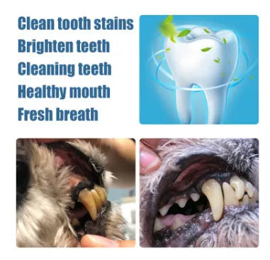 Pet teeth whitening pen kit with two 3ml pens and two dental brushes for dog and cat tartar care.