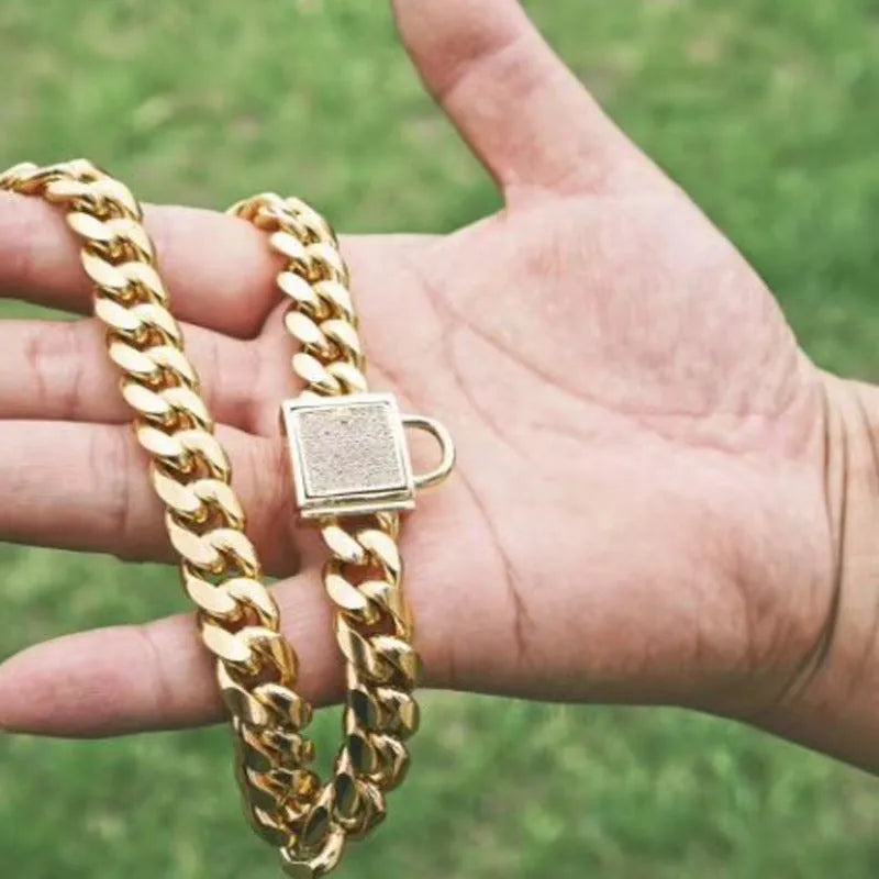 Gold titanium steel pet dog collar with encryption chain buckle lying on surface