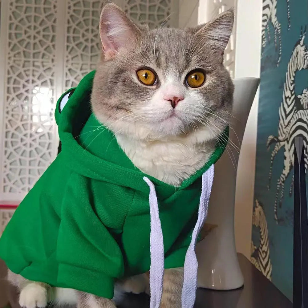 Green frog hoodie for small dogs and cats, lying on surface with front view